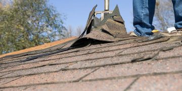 gallery_1115-negutters3-2_1732190001.jpg