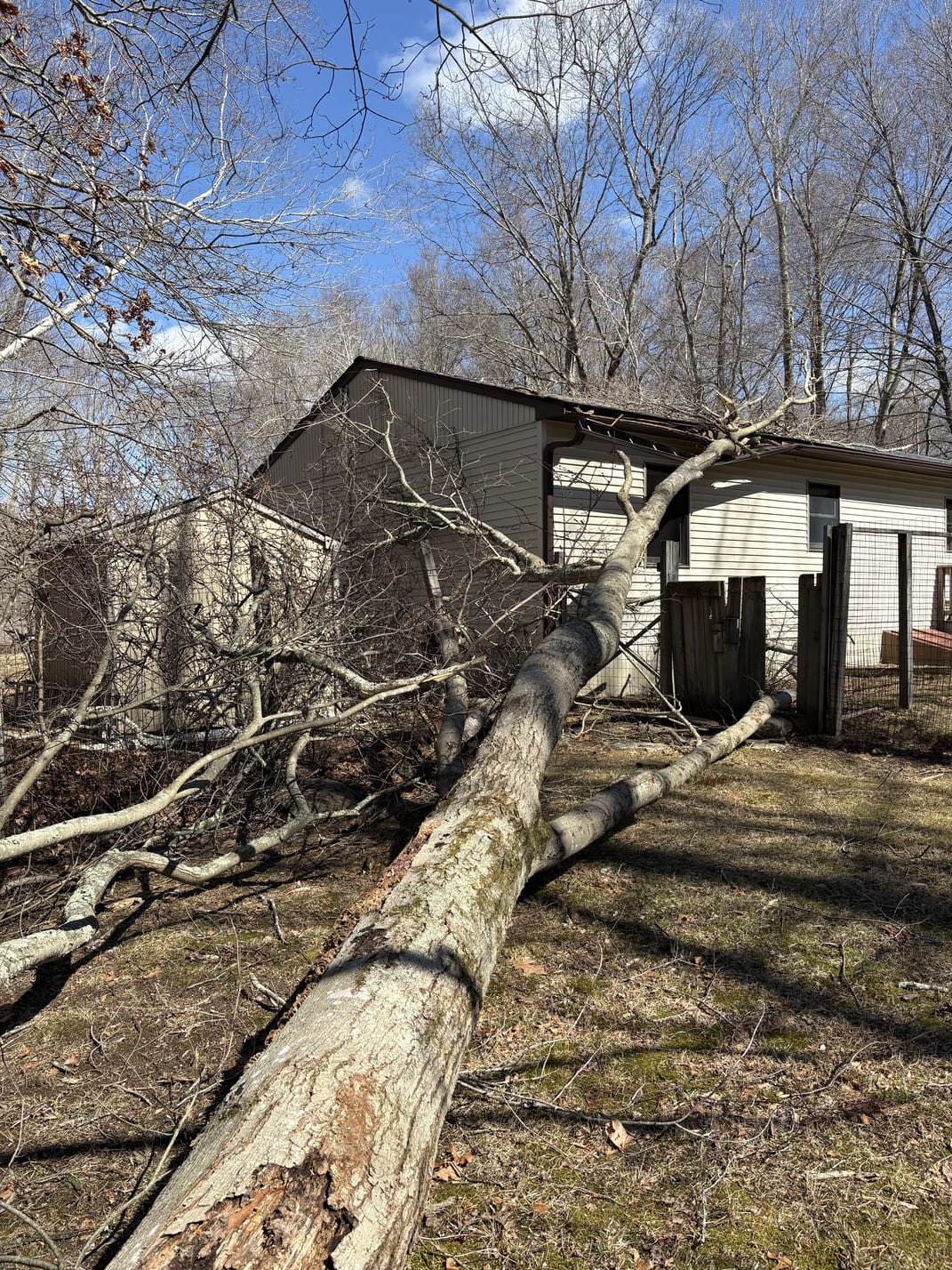 Storm Damage Gutter Replacement