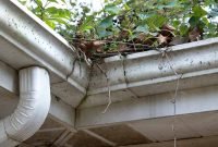 Common Culprits Behind Clogged Gutters
